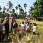 Photo_1642342499697-1000x600