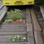 Photo_1642479635649-918x600