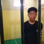 84b2d377-922e-4066-b4f5-3f49138ab252