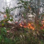 dbf95b98-9be3-4636-bb4d-58f9526266c2