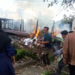 97b13cf3-f028-4cc7-b960-e746cccbc007