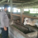 9c4d12a9-fefe-4fe2-9d74-10c68db7cf27