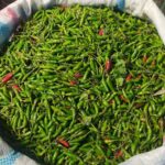 e801b462-7772-457b-bbdb-61c54fb7f665