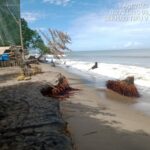 ee836020-d4ed-4c4d-a823-47fcd59b58e3