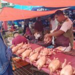 9b6ee2c9-0e26-45cb-9073-c45fb900bd52