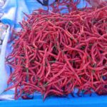 a293b694-b17c-4840-b2e0-4ddd9121631c