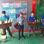 f8951a99-d33e-4336-b647-43e429cfc380