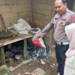 0a5ec743-9624-4743-84bd-4b5e38d5e365