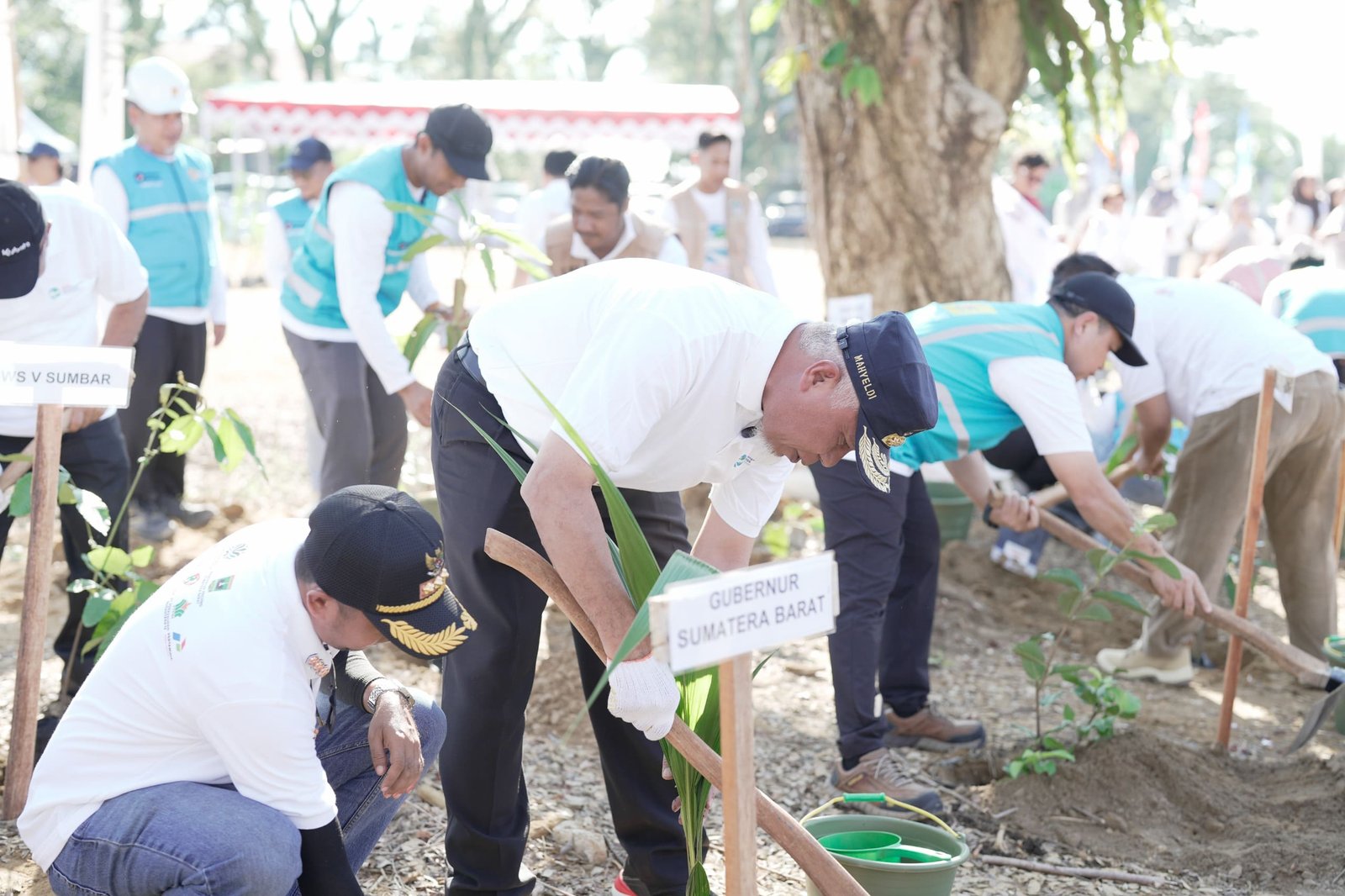 Gerakan Penghijauan di Kawasan Galodo, Mahyeldi Dorong Aksi Nyata Pelestarian Alam