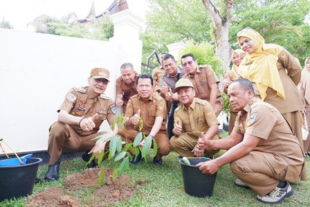 Pemkab Pessel Gaungkan Gerakan Hijau Lewat Penanaman Pohon Mahoni